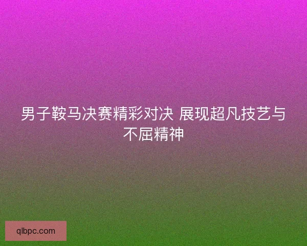 男子鞍马决赛精彩对决 展现超凡技艺与不屈精神