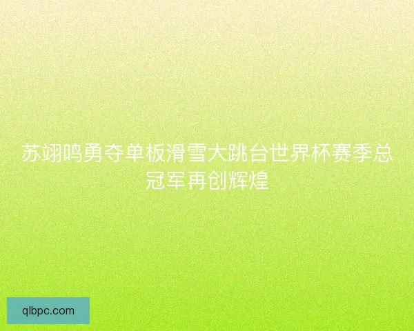 苏翊鸣勇夺单板滑雪大跳台世界杯赛季总冠军再创辉煌